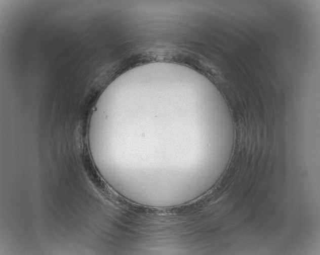 X0000067500594200604071025