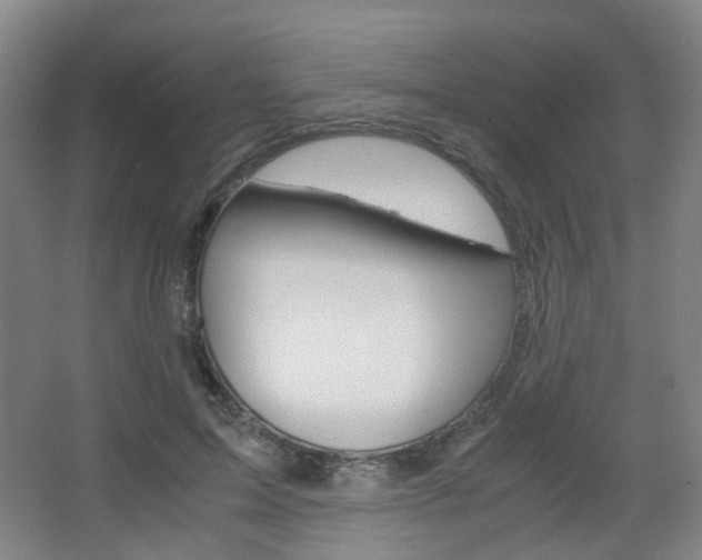 X0000067500599200604071025