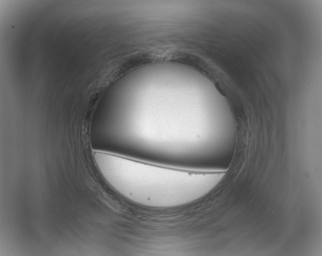 X0000067500601200604071025