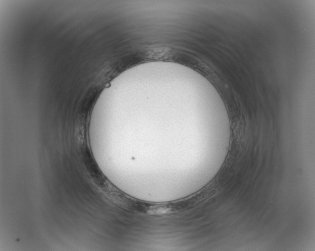 X0000067500602200604071025