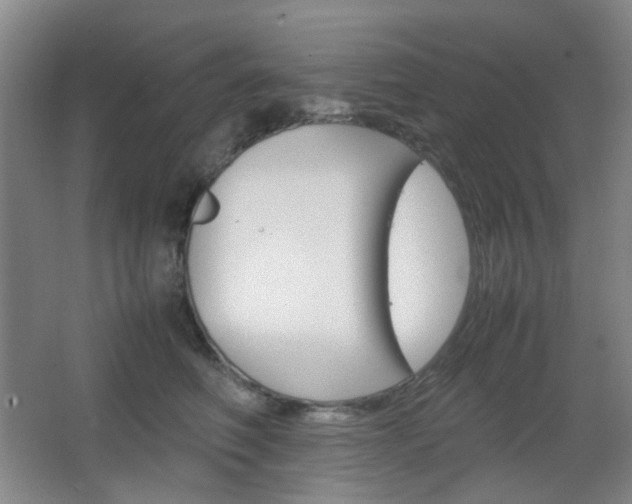 X0000067500614200604071025