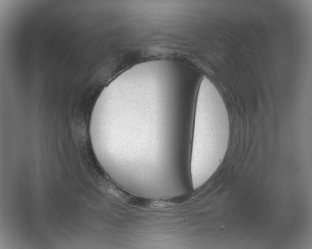 X0000067500617200604071025