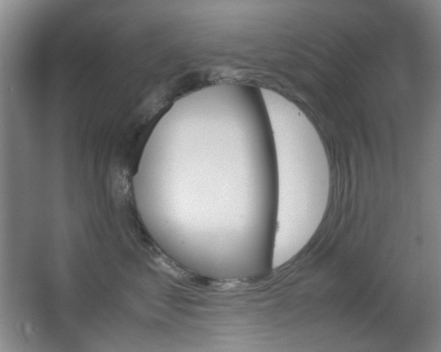 X0000067500621200604071025