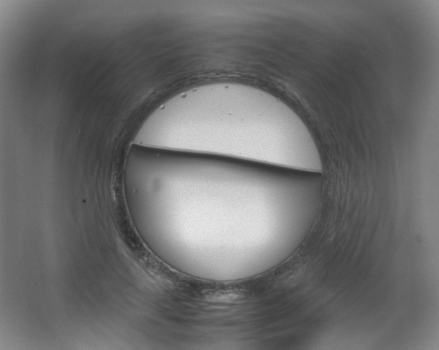 X0000067500643200604071024