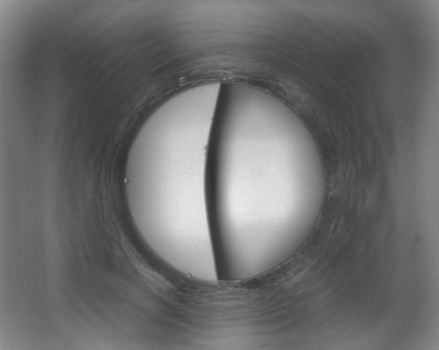 X0000067500646200604071024
