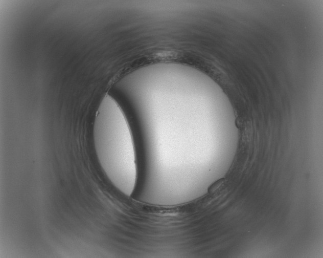 X0000067500651200604071024