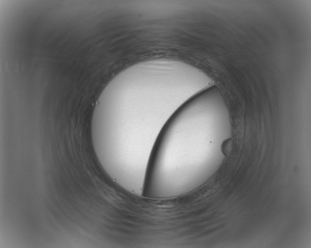 X0000067500653200604071024