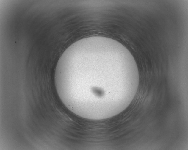 X0000067500655200604071024