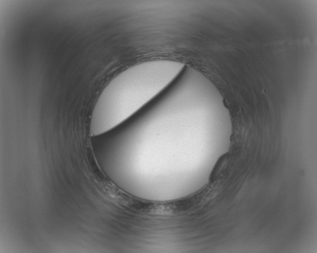 X0000067500656200604071024