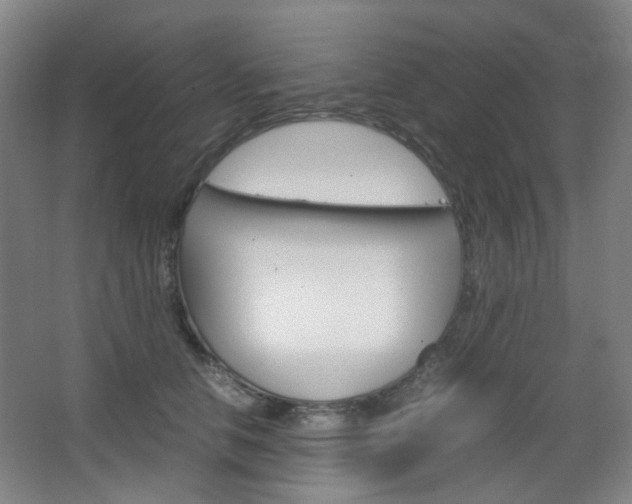 X0000067500658200604071024