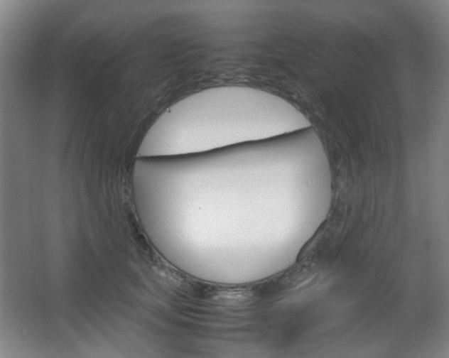 X0000067500659200604071024