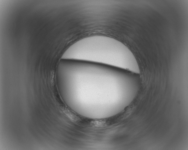X0000067500660200604071024