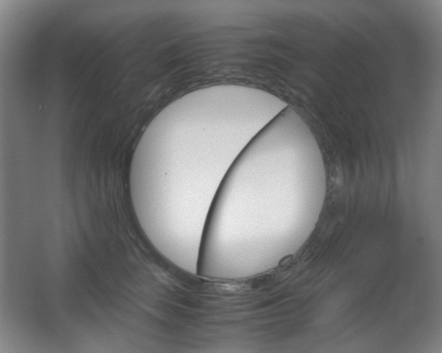 X0000067500663200604071024