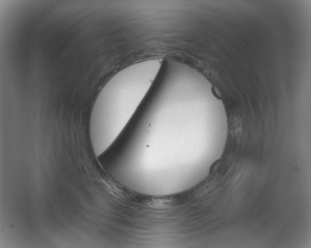 X0000067500664200604071024