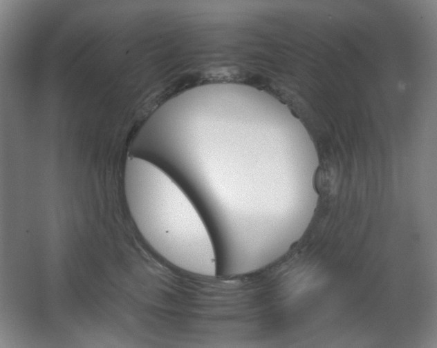 X0000067500665200604071024