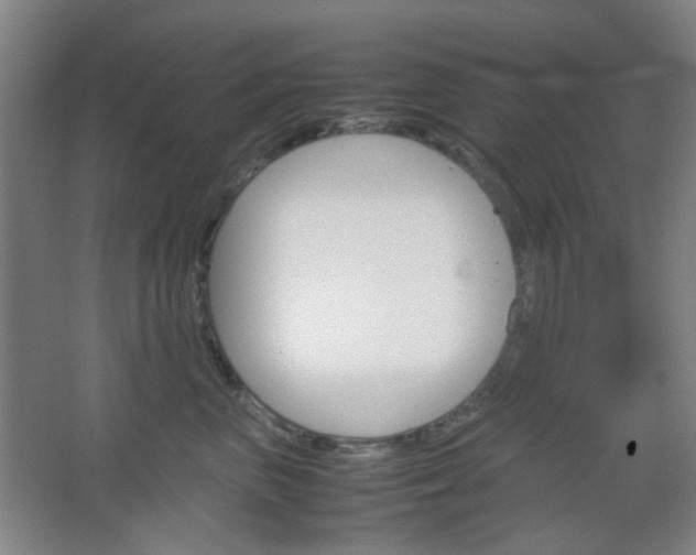 X0000067500667200604071024