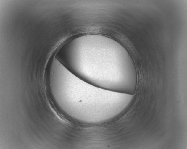 X0000067500674200604071024