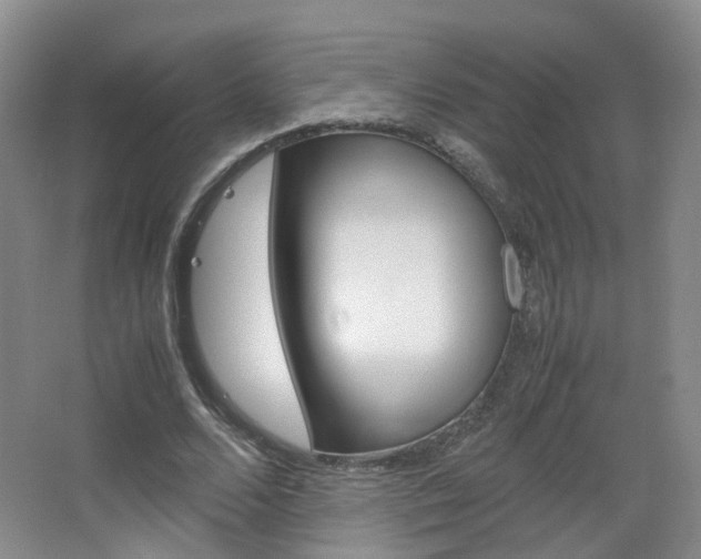 X0000067500680200604071024