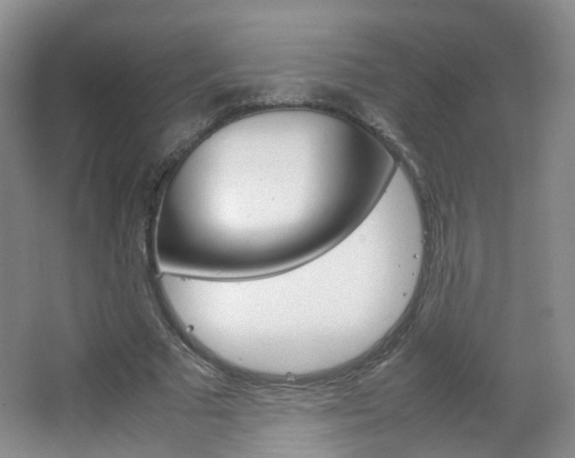 X0000067500681200604071024