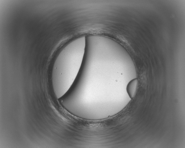 X0000067500686200604071023