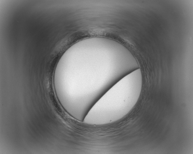 X0000067500687200604071023
