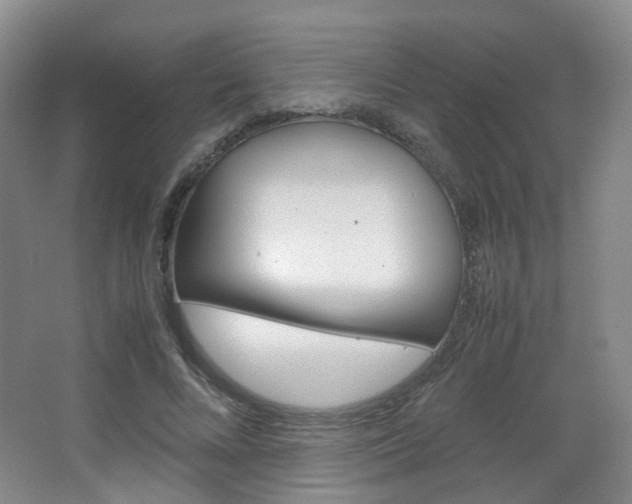 X0000067500688200604071023