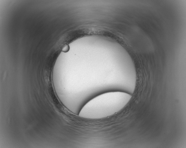 X0000067500695200604071023