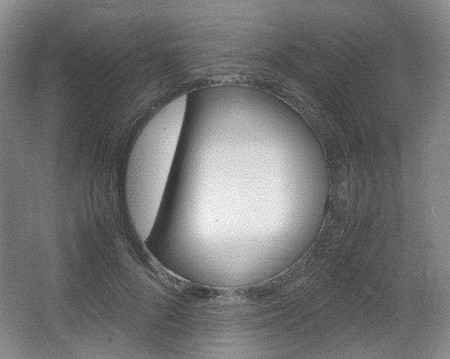 X0000067500696200604071023