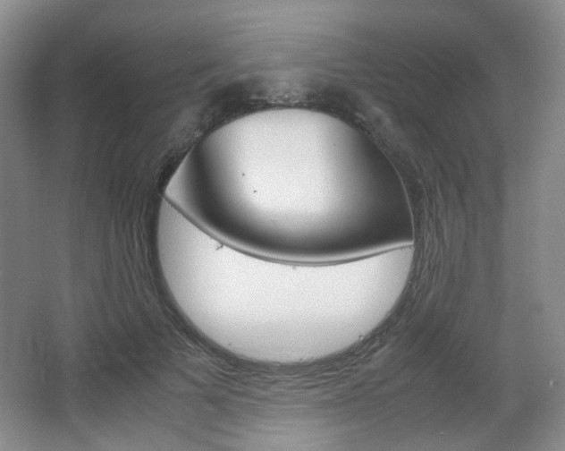 X0000067500697200604071023