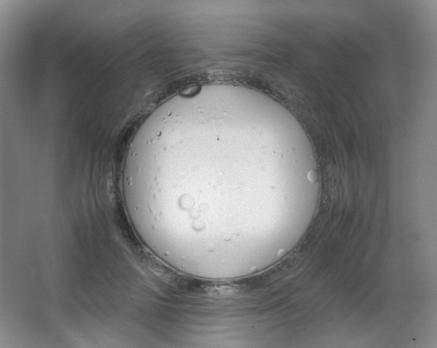 X0000067500698200604071023