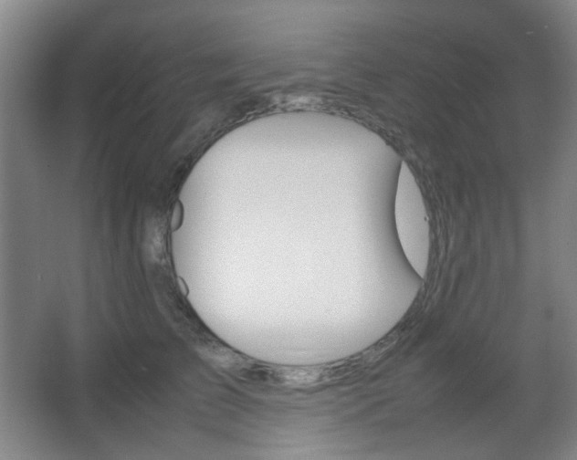 X0000067500709200604071023