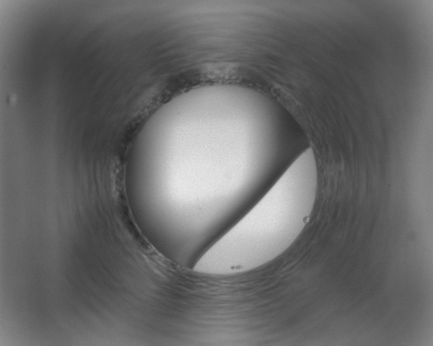 X0000067500712200604071023
