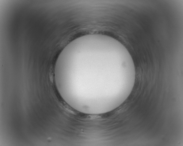 X0000067500719200604071023