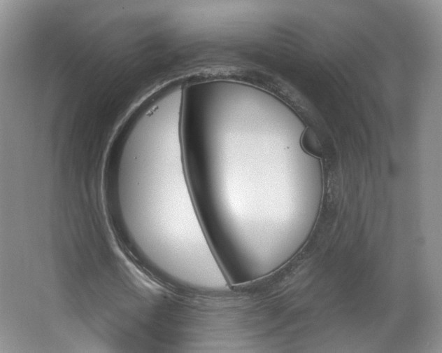 X0000067500722200604071022
