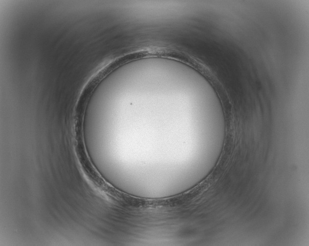 X0000067500730200604071022