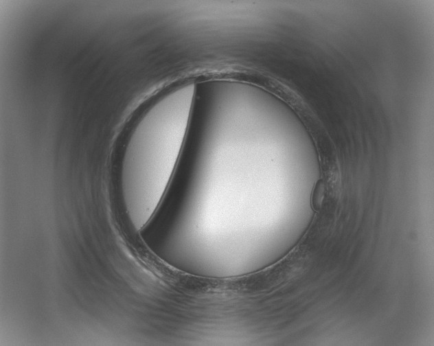 X0000067500732200604071022