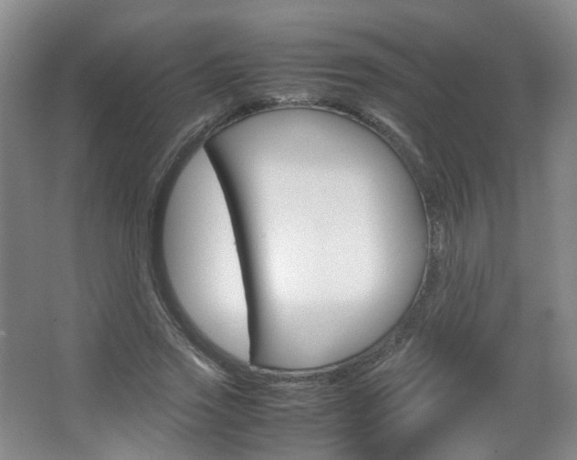 X0000067500733200604071022