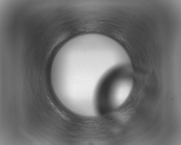 X0000067500735200604071022