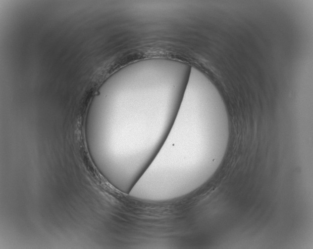 X0000067500737200604071022