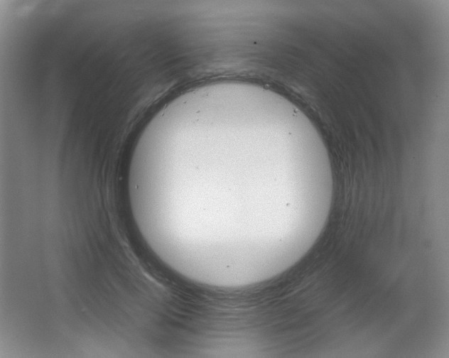 X0000067500740200604071022