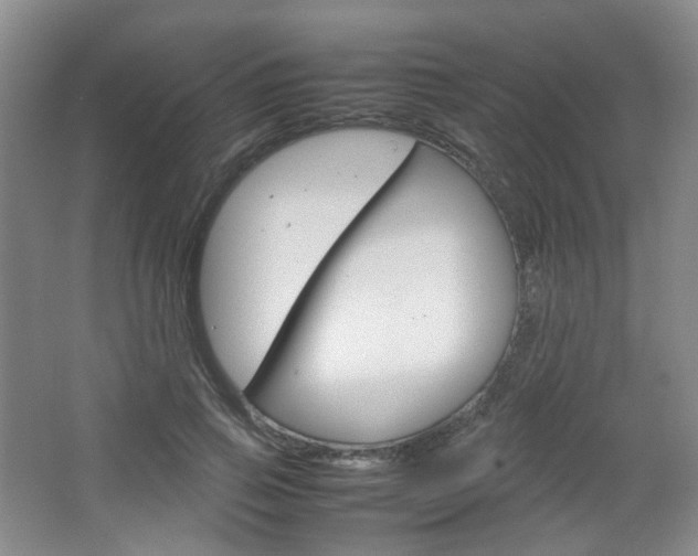 X0000067500741200604071022