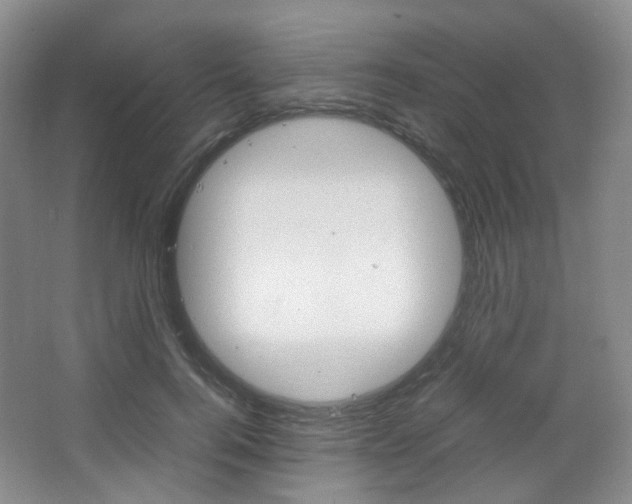 X0000067500744200604071022