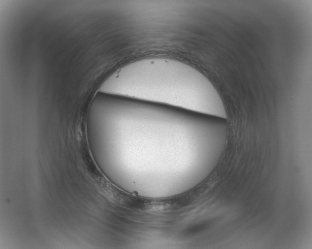X0000067500746200604071023