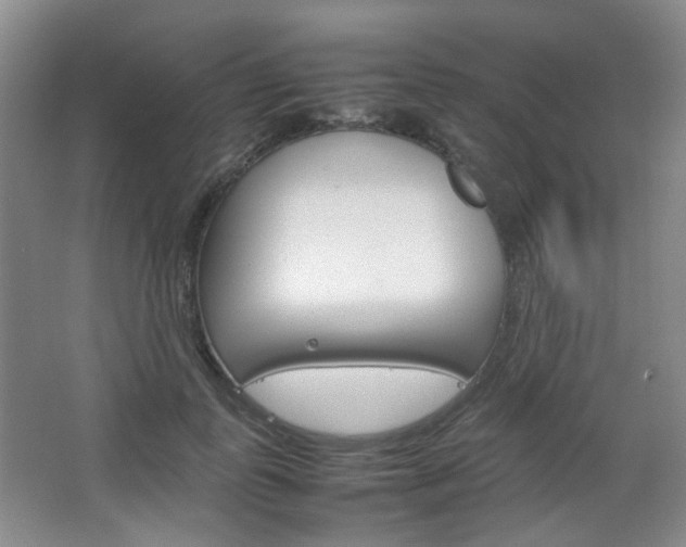 X0000067500747200604071023