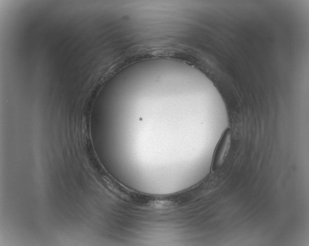 X0000067500748200604071023