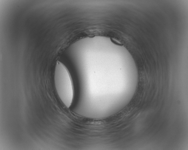 X0000067500751200604071023