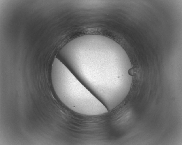 X0000067500753200604071023