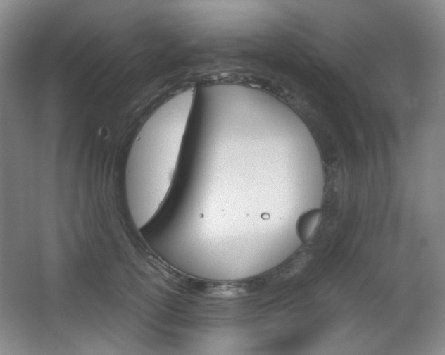 X0000067500754200604071023