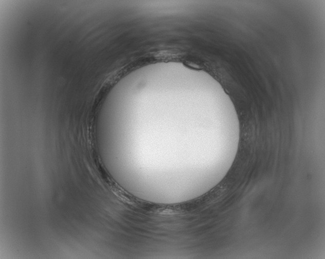 X0000067500755200604071023