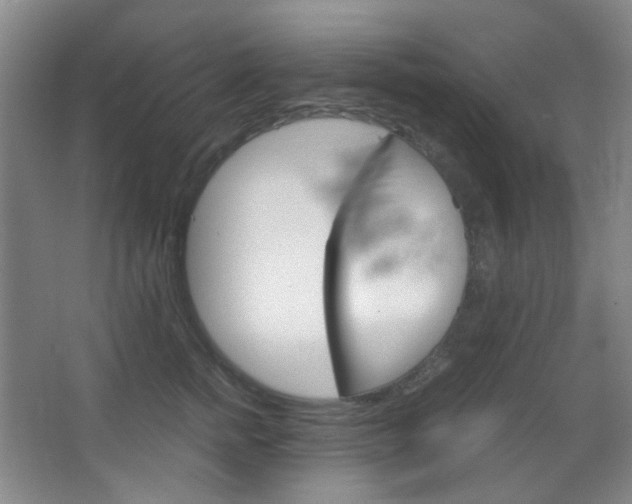 X0000067500758200604071023
